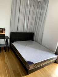 Neem Tree (D12), Apartment #559434011